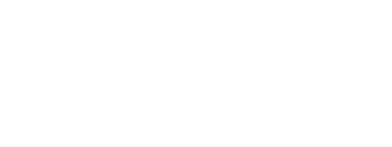 The Thing With Feathers